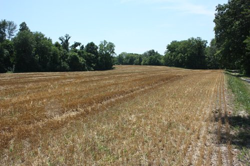 Property photo 10 - AUCTION POSTPONED